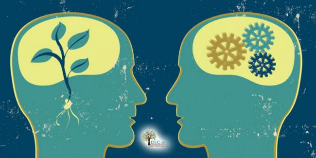 PLANTING A SEED